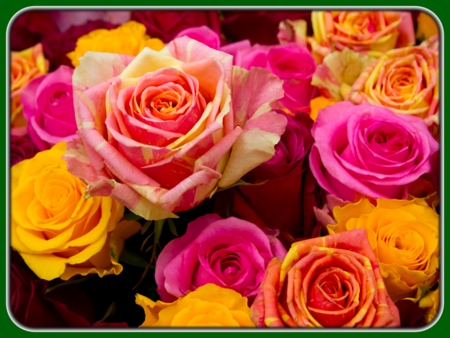 Peach, Orange, and Pink Bunch of Roses