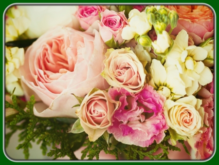 Pink and White Bouquet of Roses