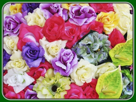 Purple, Green, and Red Bunch of Roses