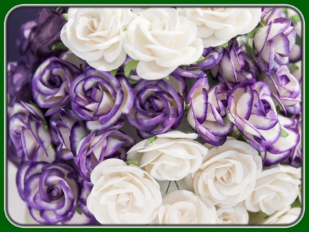 Purple and White Bouquet of Roses