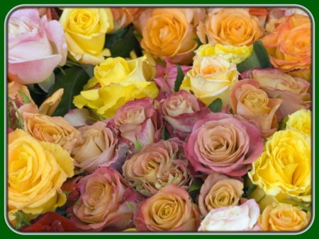Orange, Yellow, and Red Bunch of Roses