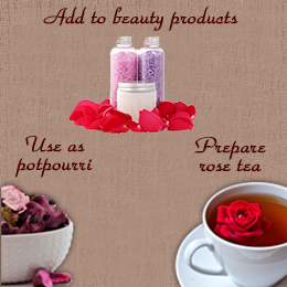 3 uses of rose petals