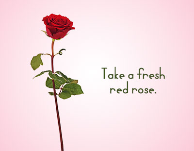 Take a Red Rose