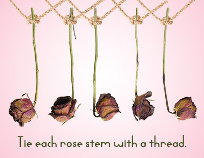 Tie Roses with Threads