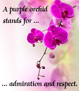 Purple orchid flower meaning