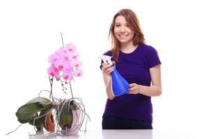 Woman spraying an orchid plant