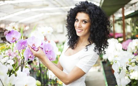 orchids in greenhouses