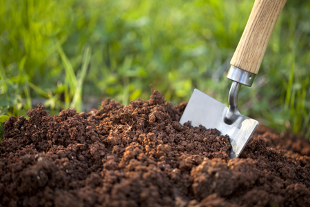Soil with garden trowel