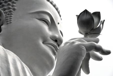 Lotus Flower Meaning- Buddhism