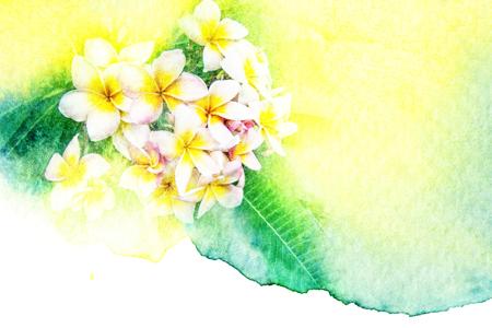 A beautiful water color painting of the Plumeria
