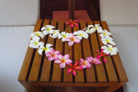 Hawaiin plumeria lei garland