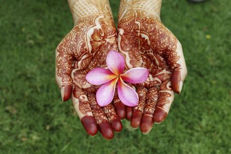 Plumeria is also used for South Indian weddings