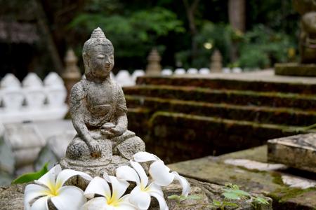 In Buddhism, plumeria flowers signify immortality