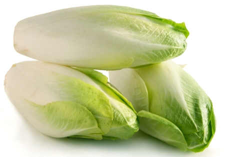 Endive