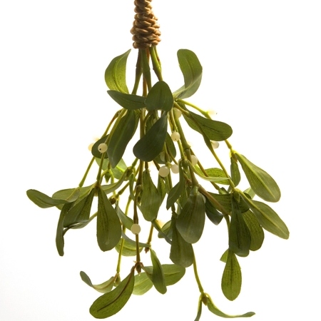 Mistletoe