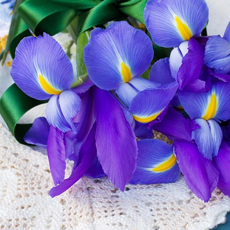 Iris Flower Meaning