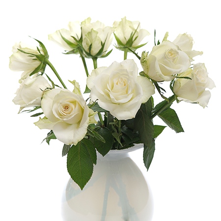 White Roses Flower Meaning