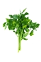 Parsley