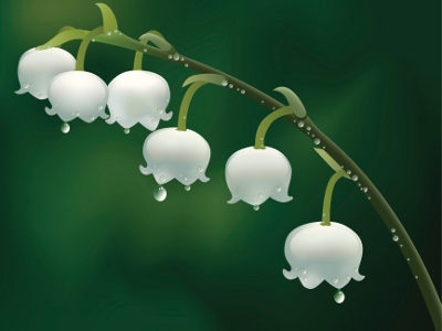 Lily of the Valley Wedding Flowers