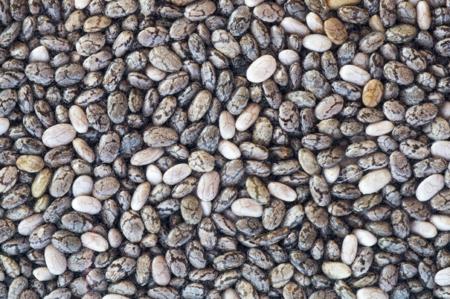 chia plant seeds