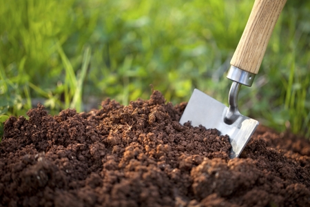 Soil With Garden