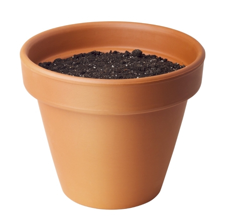 Flower Pot