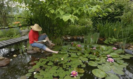 Man reading in water garden