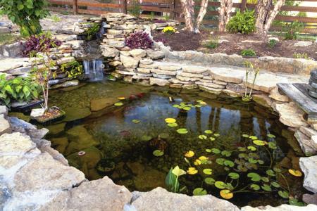 pond with green leaves inside