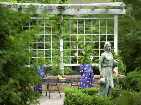 trellis in garden