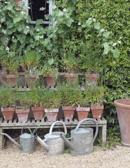 garden watering cans