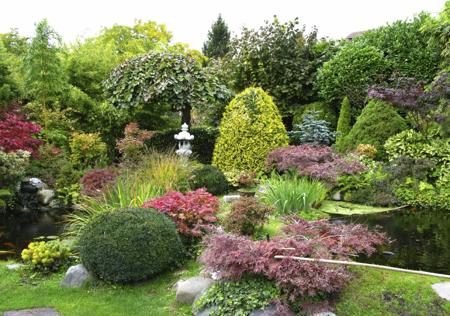 garden with pond