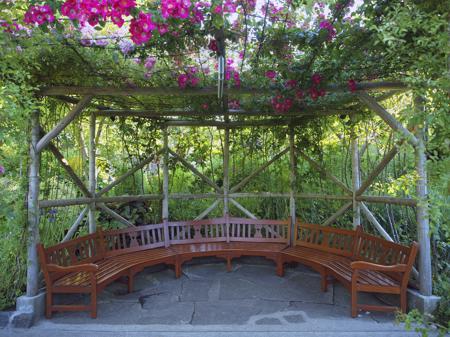 sitting area in the garden