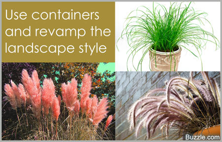 Grasses and containers