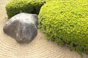 accentuate boulders-artistically placed boulder