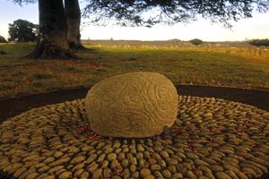 accentuate boulders-boulders with grasses