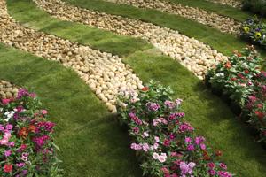 ground covers-rocks flowers and a pathway