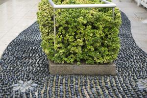 ground covers-a pathway made of small stones