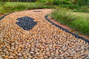 walkway made of rocks and pebbles