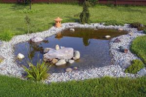 rocks used as pond borders