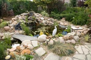 rocks used as pond borders