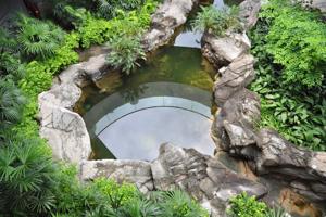 rocks used as pond borders