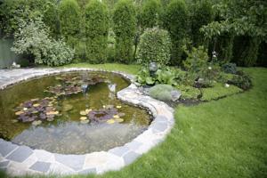 rocks used as pond borders