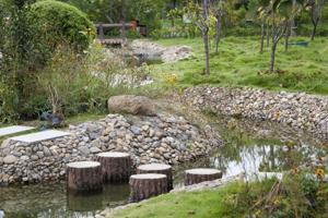 rocks used as pond borders