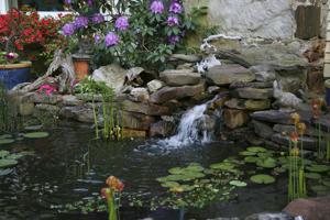 rocks used to make waterfalls in the garden