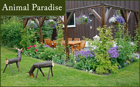 Unique Backyard Landscape Design Ideas - Animal Paradise