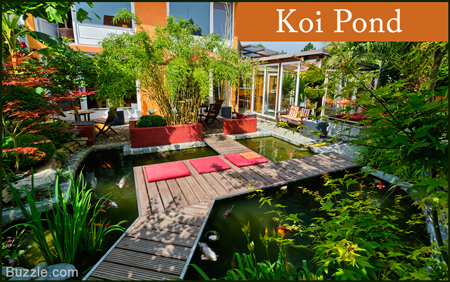 Unique Backyard Landscape Design Ideas - Koi Ponds