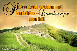 Landscaping a hill