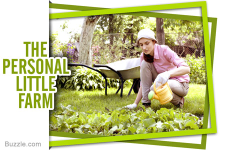 lady cultivating a vegetable garden