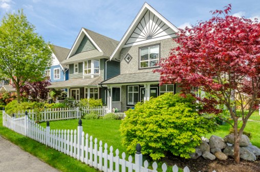 Landscaping with fence