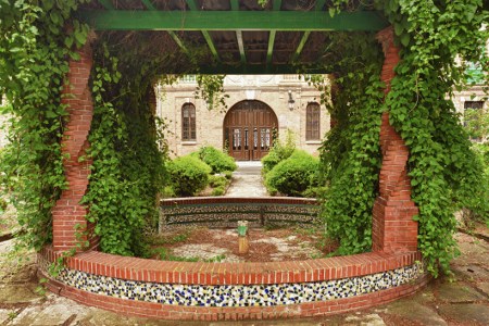 Pergola with Vines and Shrubs